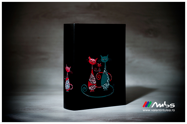 albume-pictate06